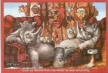 RHINO STORYTELLER POSTCARDS