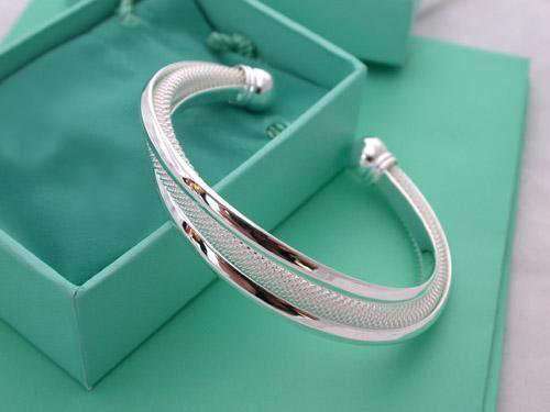 925 Silver Plated Twist Dodge Bangle