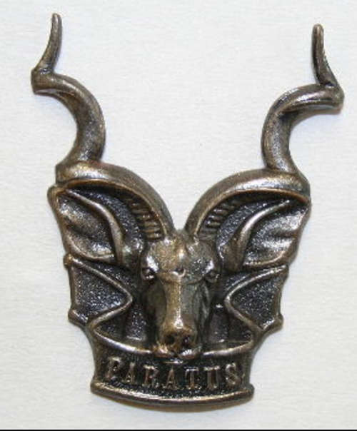 SWATF Area Beret badge with all pins intact