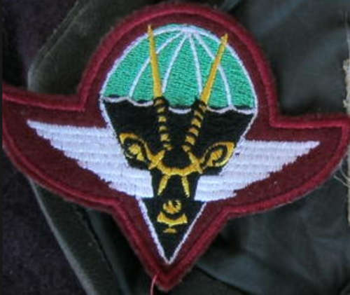SWATF Parabat Beret Badge