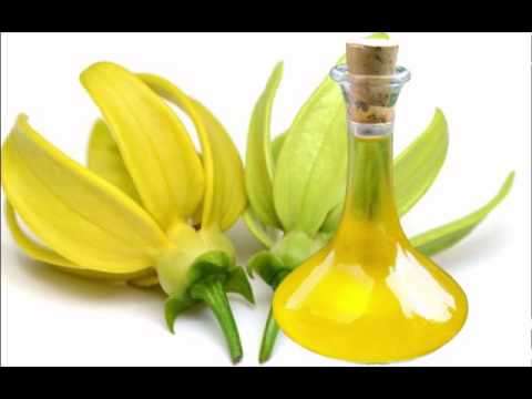 Ylang Ylang Essential Oil10 ml (1/3 oz). 100% Pure, Undiluted