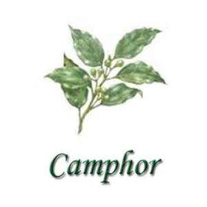 Camphor Essential Oil10 ml (1/3 oz). 100% Pure, Undiluted - SCENTSHILL