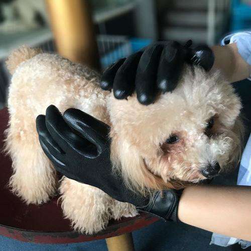 Pet Grooming Glove - Gentle De-shedding Glove