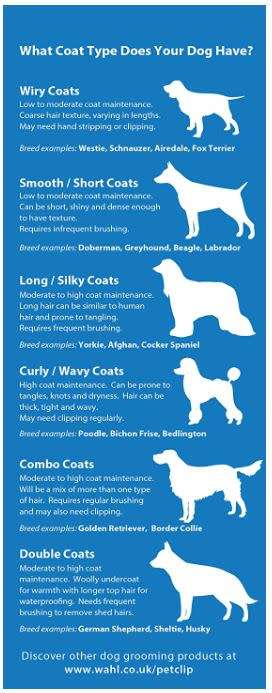 Wahl Dog Clipper Set - Multi Cut