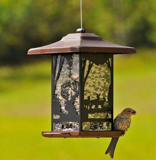 Wild Bird Feeder (Limited Edition) - Wilderness Lantern