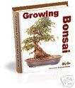 Growing Bonsai Trees   (Free delivery)