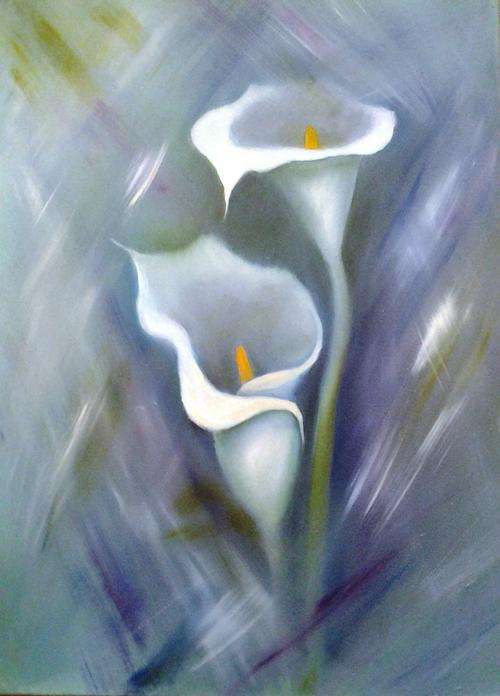 Arum lily 1 -  400 x 300   OIL