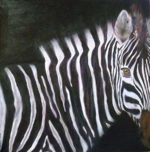 ZEBRA - ORIGINAL OIL PAINTING BY DALENE VICTOR -  600 X 600 MM