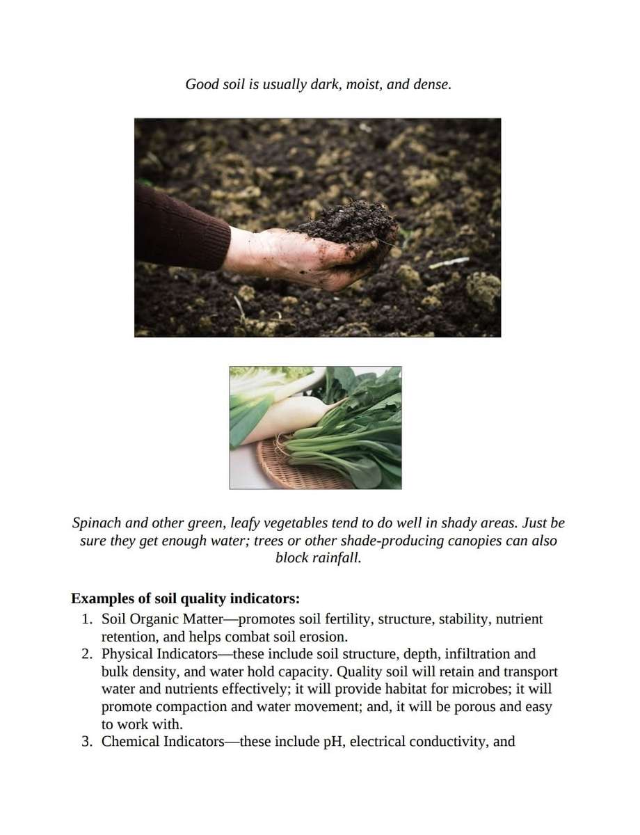 The Homesteading Handbook PDF