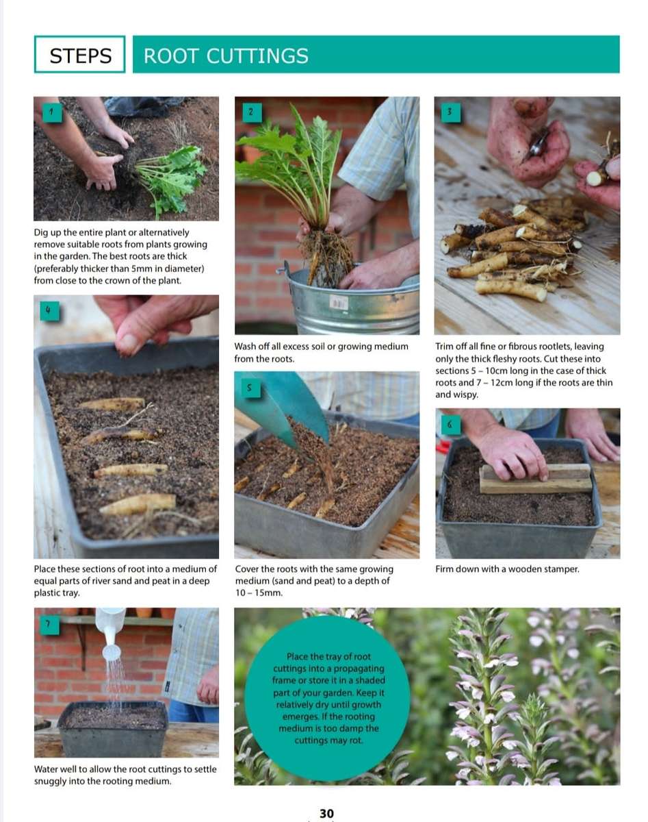 The Gardener`s Survival Guide PDF