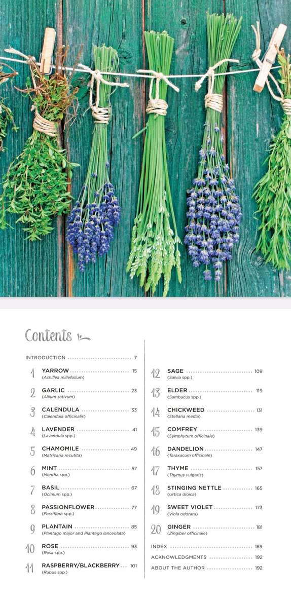 Healing Herbs EBook PDF