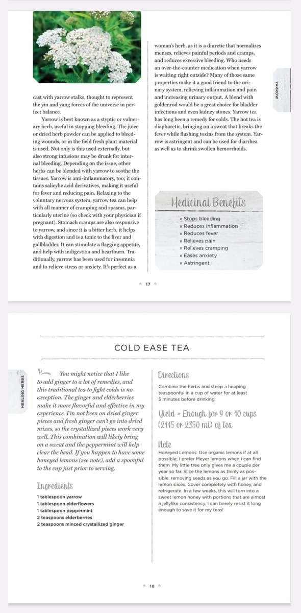 Healing Herbs EBook PDF