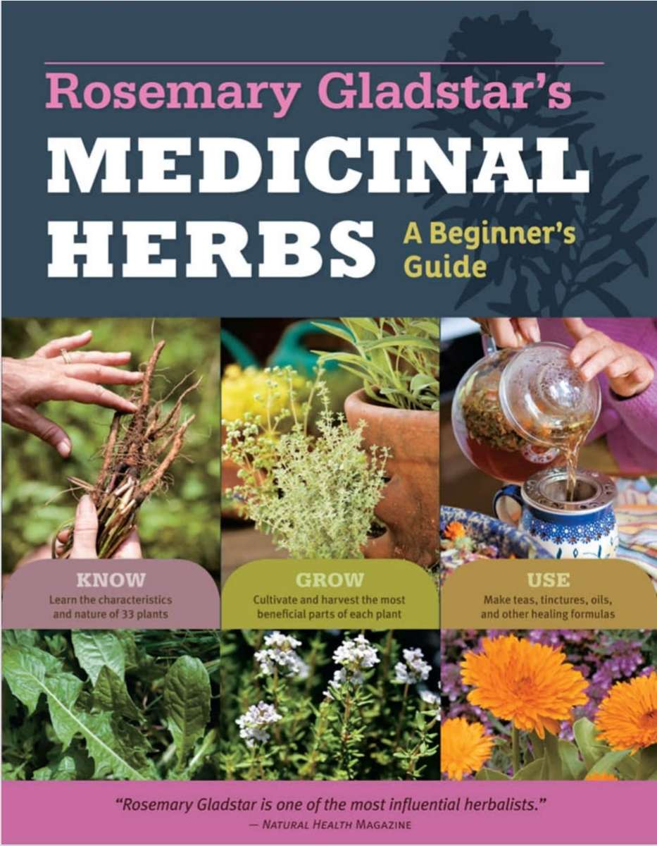 Medicinal Herbs Beginners Guide EBook PDF