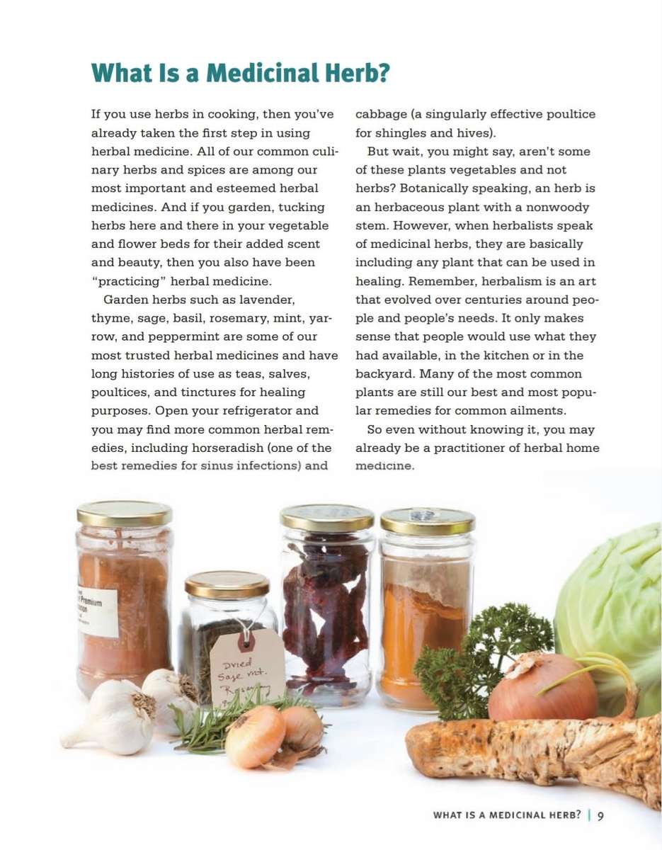 Medicinal Herbs Beginners Guide EBook PDF