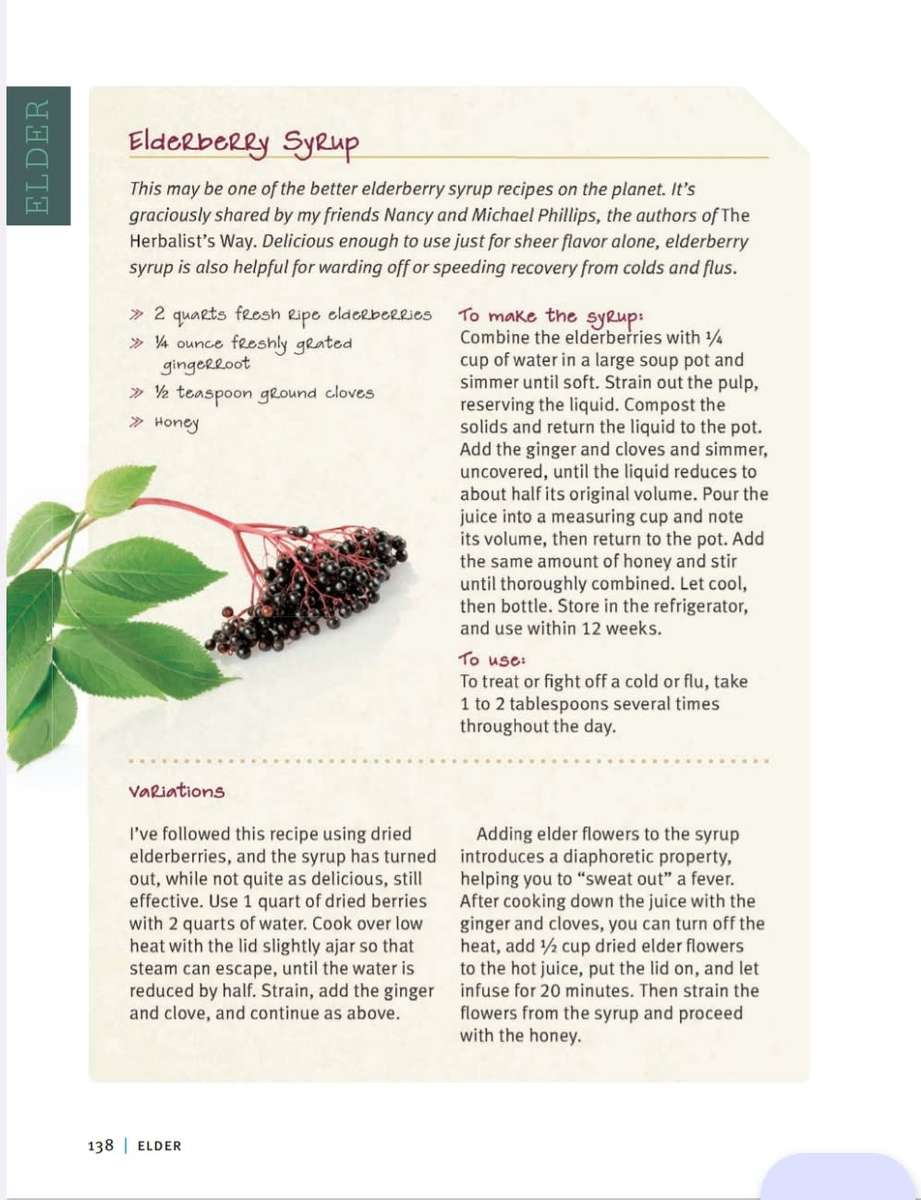 Medicinal Herbs Beginners Guide EBook PDF