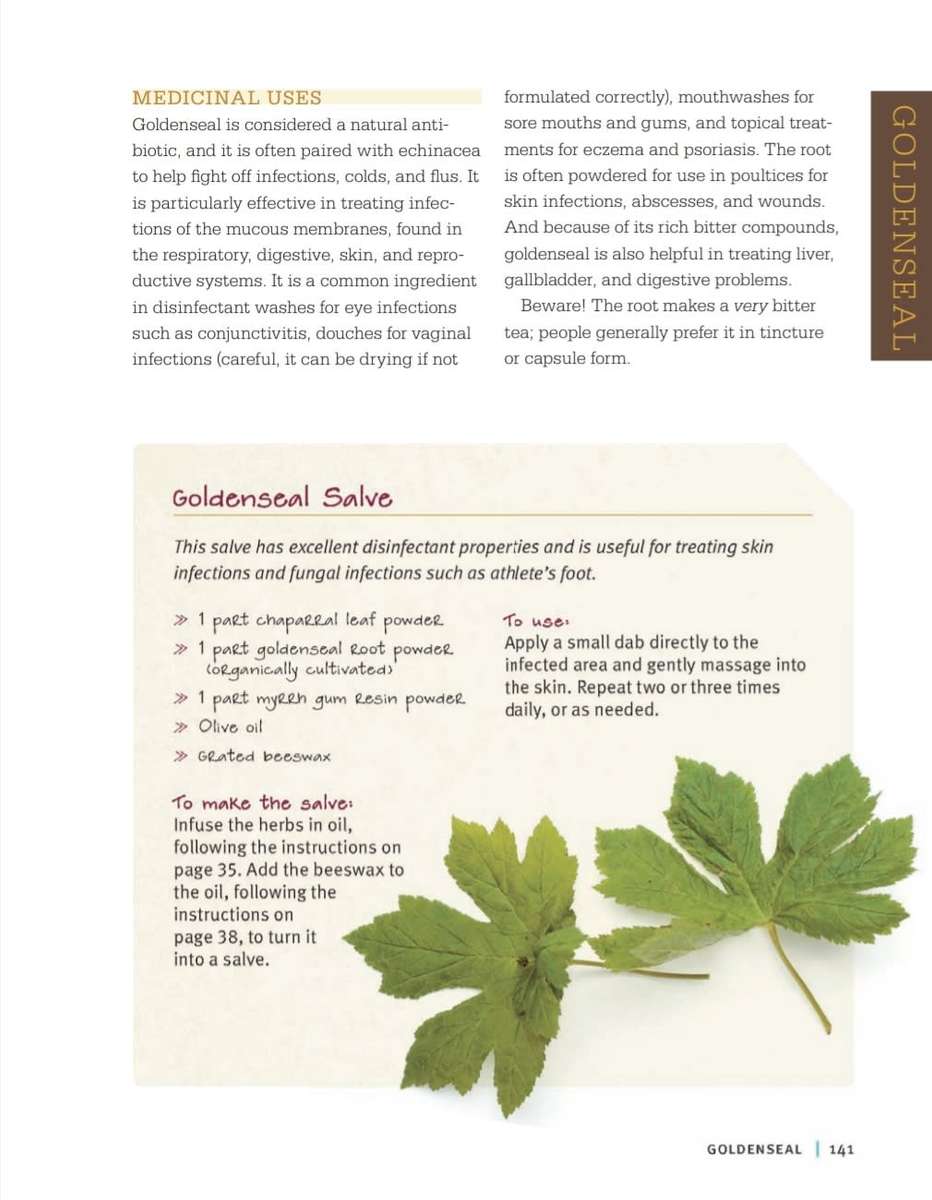 Medicinal Herbs Beginners Guide EBook PDF