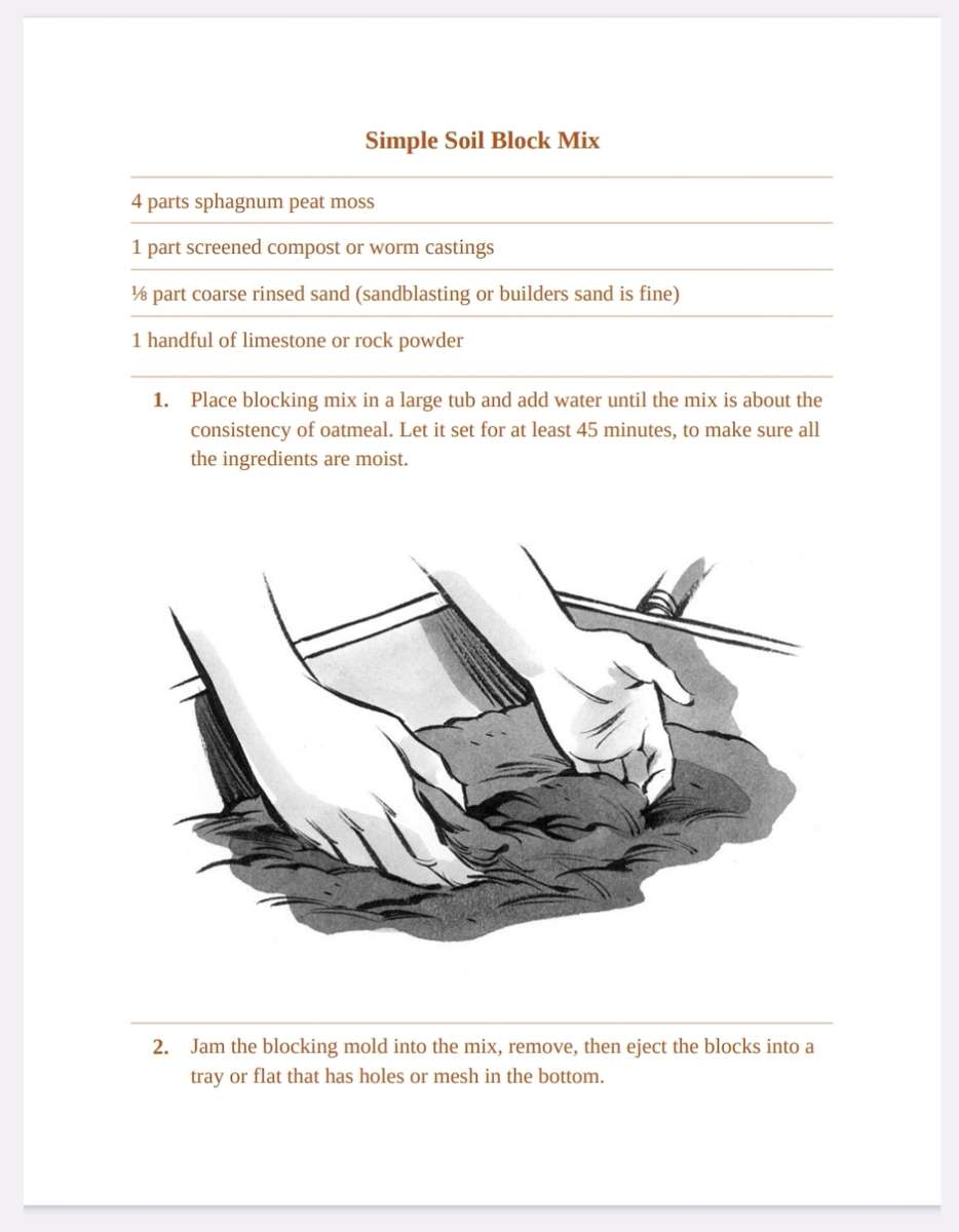 Starting Seeds Ebook PDF