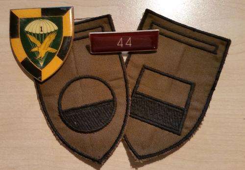 SOUTH AFRICAN PARA BADGES SET