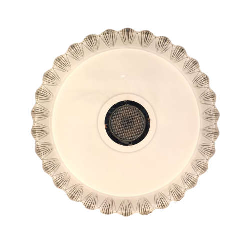 The color changing 48W LED Ceiling Light with Bluetooth Speaker