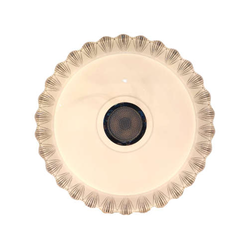 The color changing 48W LED Ceiling Light with Bluetooth Speaker