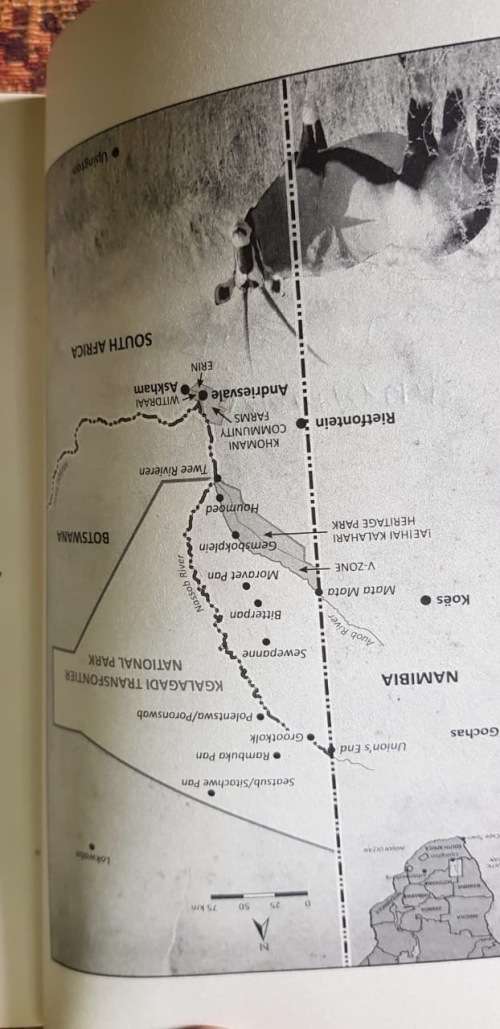 Signed copy of What David Knew by Patricia Glyn and To Die at Sunset by Elsa Joubert