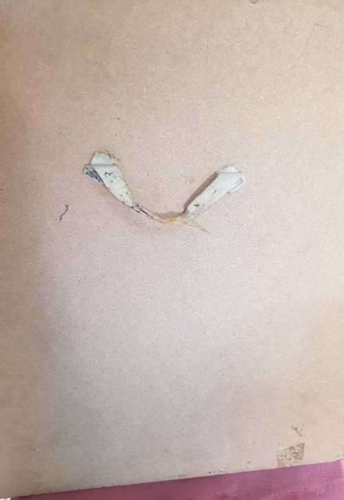 Civil War Trumpet of Wrath and Frame 1776 Declaration of Independence USA