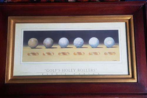 Bernie Horton sports memorabilia framed golf balls