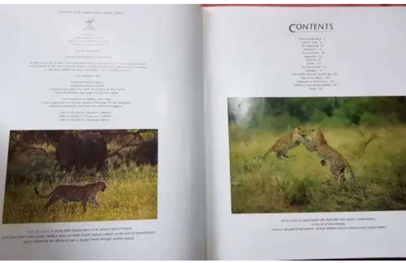 Africana The Leopards of Londolozi