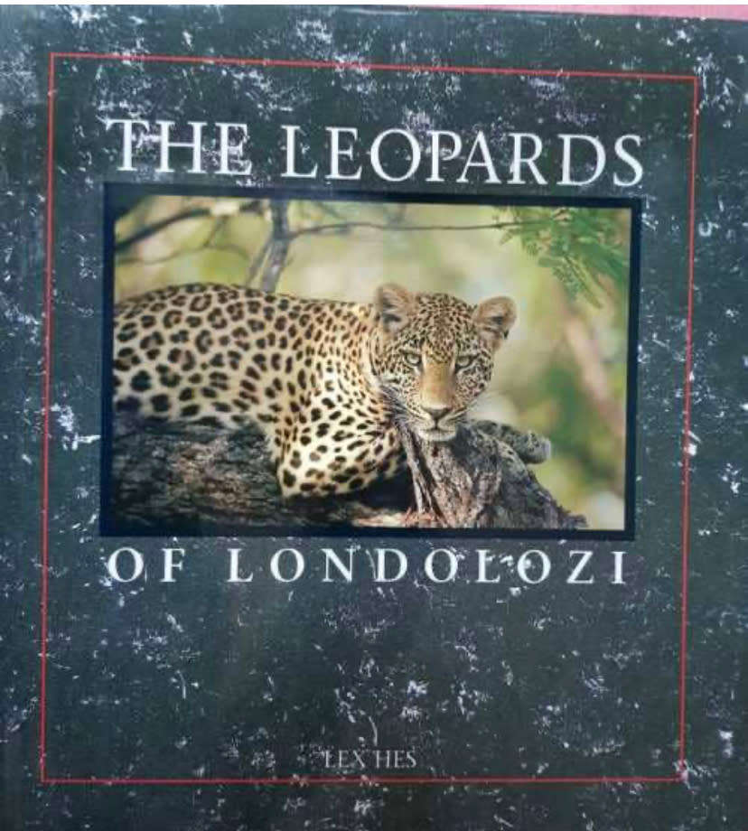 Africana The Leopards of Londolozi