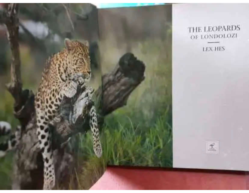 Africana The Leopards of Londolozi