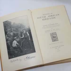 Sketches of South African Bird Life 1914 Birds Haagner Alwin Birds