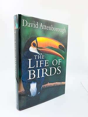Birds Life of Birds Attenborough Birds