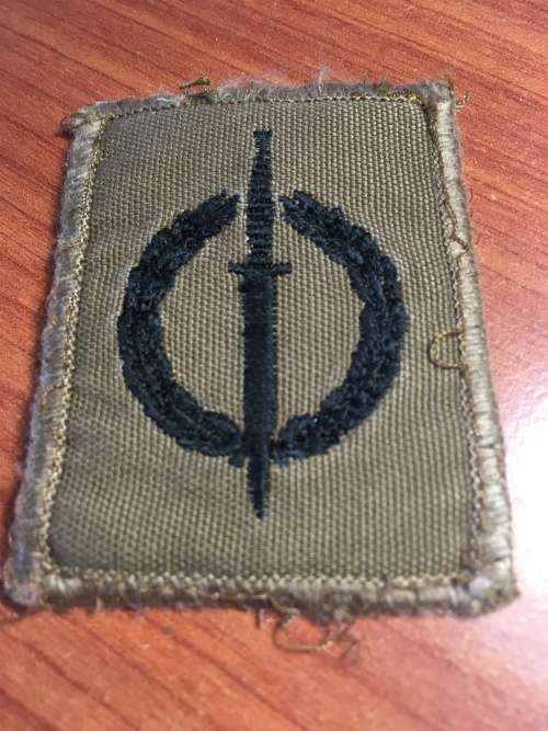 Cloth Recce operators badge