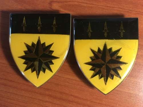 A pair of 1 Recce Regiment Shoulder flashes