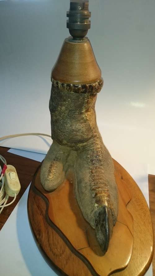 Ostrich Foot Lampshade. Leather, Scales, Wood. Working.