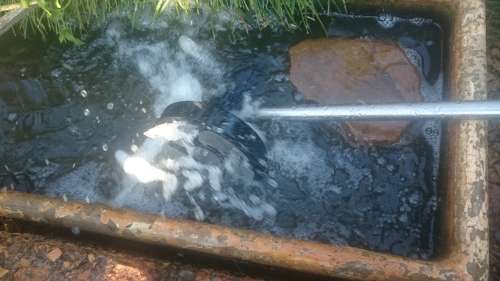 Troller motor 12V. Tested Working. Incomplete. Spares or Rebuild