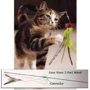 Da Bird - the best interactive cat toy ever