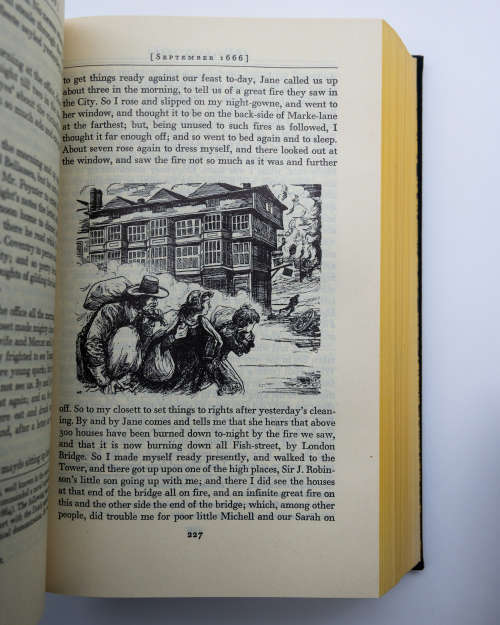 The Diary of Samuel Pepys