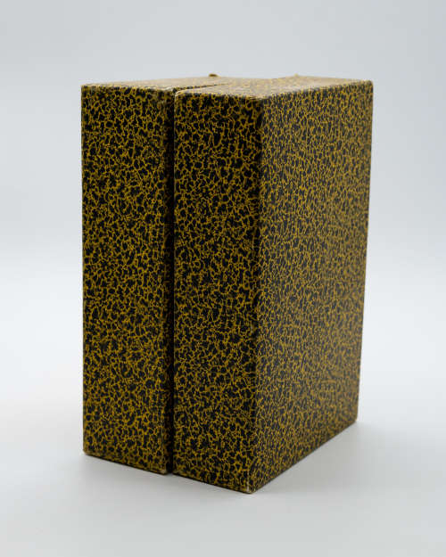 The Diary of Samuel Pepys