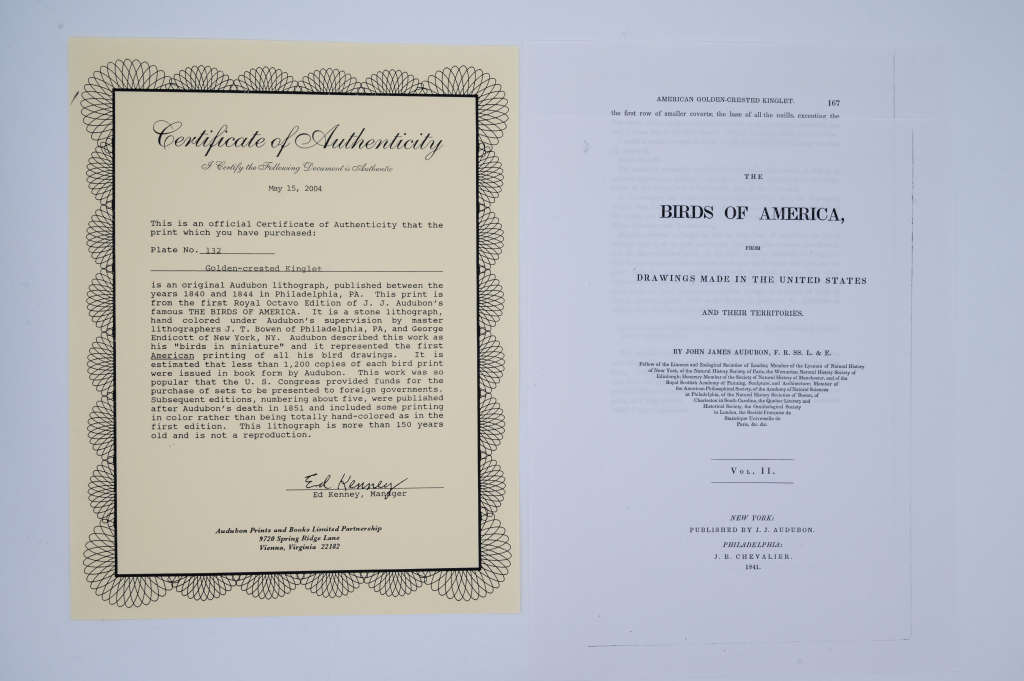 American Golden Crested Kinglet Plate 132 by John James Audubon