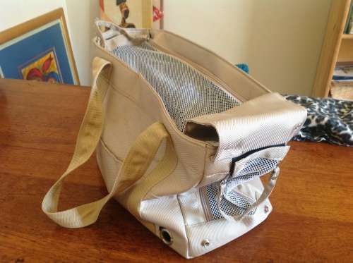 Small Dog carry Bag