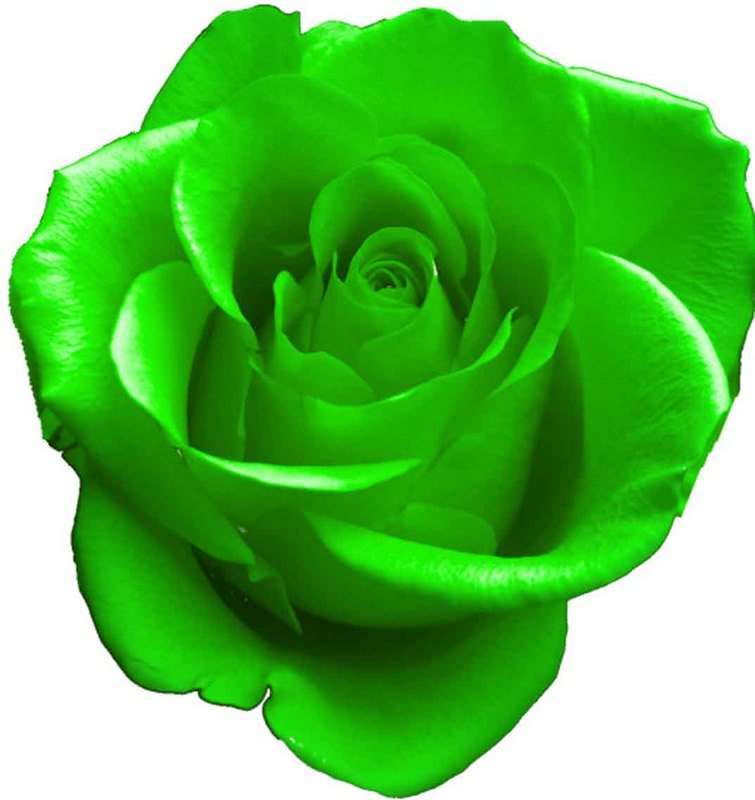 Special Listing - Shadawnay