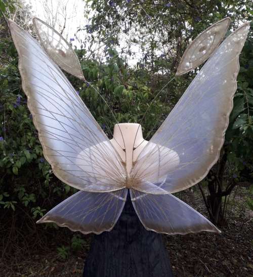 Chrysalis Fairy Wings for Adults