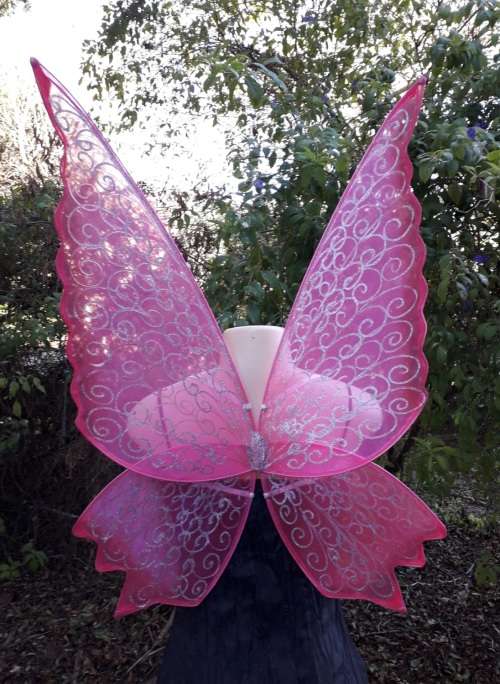 Large Fairy Wings for Adults available in any color
