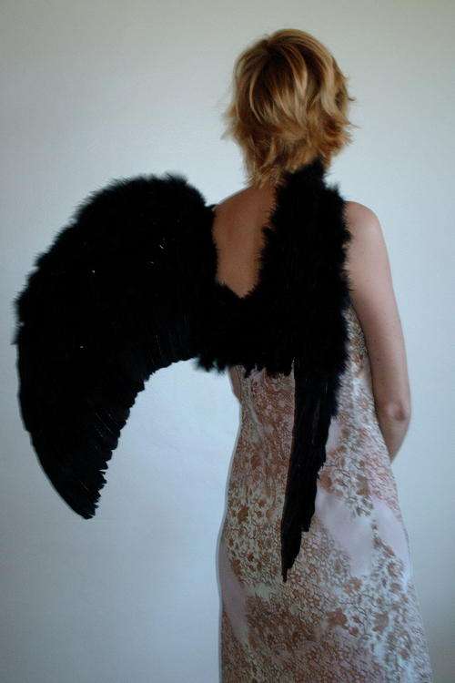 Angel Wings (Large)