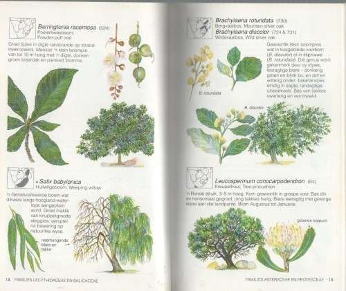 ALGEMENE BOME - EUGENE & GLEN MOLL & NICCI PAGE (2 DE DRUK 1993)