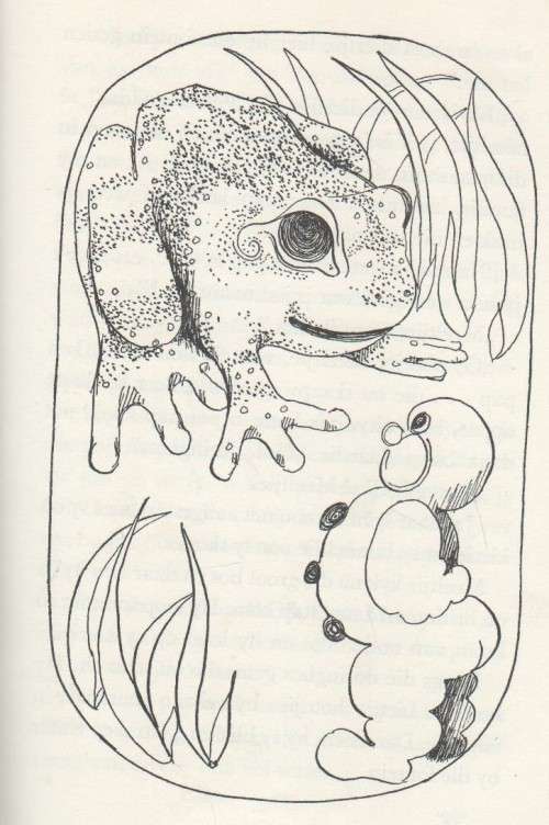 DIE ROOI SAMBREELTJIE EN ANDER VERHALE - LILY KRUGEL (1970)