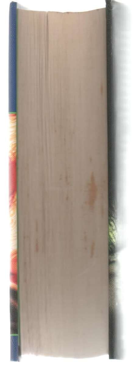 HARRY POTTER AND THE HALF-BLOOD PRINCE - J K ROWLING (1 ST EDITION 2005)