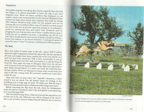 GERMAN SHEPHERD GUIDE - MADELEINE PICKUP (1969)