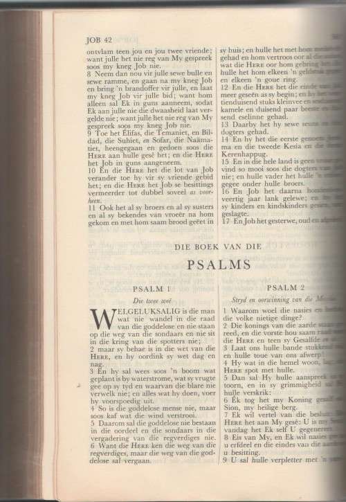 DIE AFRIKAANSE KANSELBYBEL - 1965